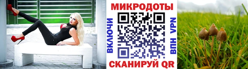 МЕГА зеркало  Питкяранта  Галлюциногенные грибы Cubensis  где найти  